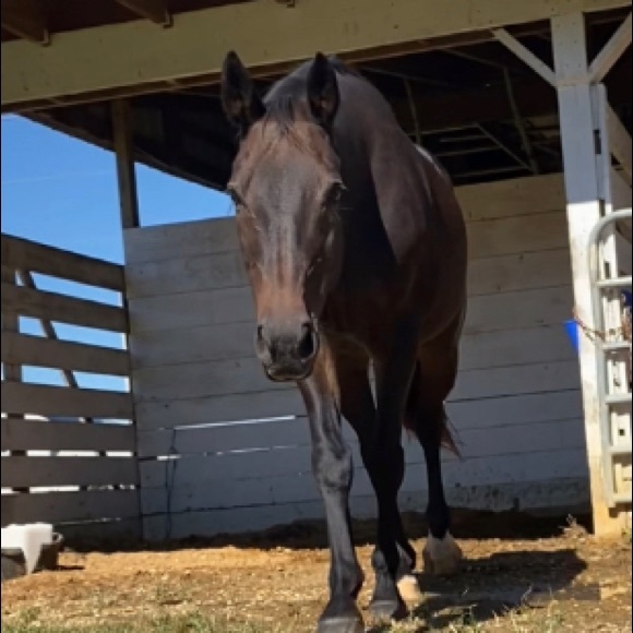 kxnnaeq